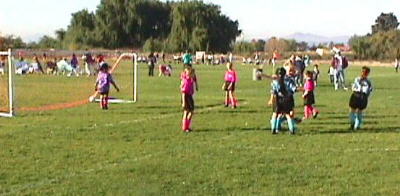 Ladybugs celebration after scoring a goal...