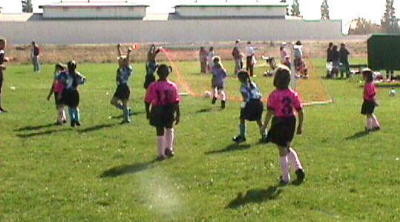 Ladybugs celebration after scoring a goal...