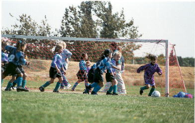 Ladybugs players always on the offensive...